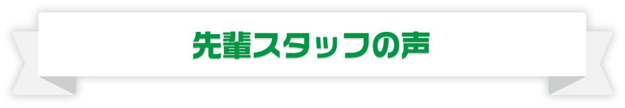 先輩スタッフの声